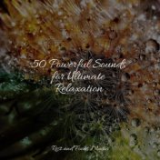 50 Powerful Sounds for Ultimate Relaxation
