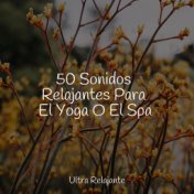 50 Sonidos Relajantes Para El Yoga O El Spa