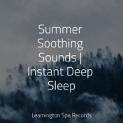 Summer Soothing Sounds | Instant Deep Sleep