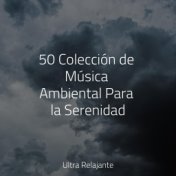 50 Colección de Música Ambiental Para la Serenidad