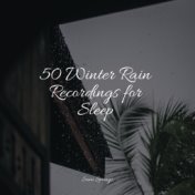 50 Winter Rain Recordings for Sleep
