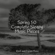 Spring 50 Complete Sleepy Music Pieces