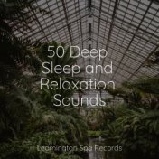 50 Deep Sleep and Relaxation Sounds