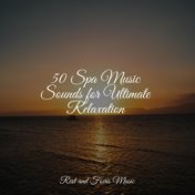 50 Spa Music Sounds for Ultimate Relaxation