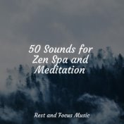 50 Sounds for Zen Spa and Meditation