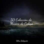 50 Colección de Música de Calma