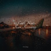 50 Gentle Winter Rain Recordings