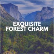 Exquisite Forest Charm