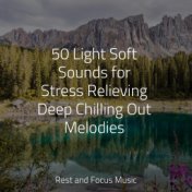 50 Light Soft Sounds for Stress Relieving Deep Chilling Out Melodies
