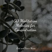 50 Meditation Melodies for Concentration