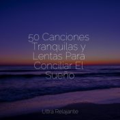 50 Canciones Tranquilas y Lentas Para Conciliar El Sueño