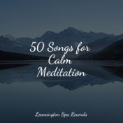 50 Songs for Calm Meditation