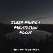 Sleep Music | Meditation Focus