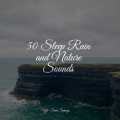 50 Sleep Rain and Nature Sounds