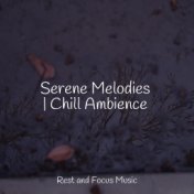 Serene Melodies | Chill Ambience