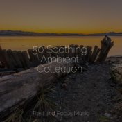 50 Soothing Ambient Collection