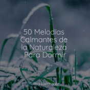 50 Melodías Calmantes de la Naturaleza Para Dormir