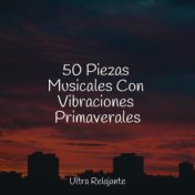 50 Piezas Musicales Con Vibraciones Primaverales