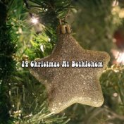 14 Christmas At Bethlehem
