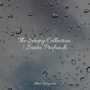 The Sleepy Collection | Sueño Profundo