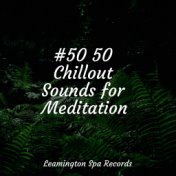 #50 50 Chillout Sounds for Meditation