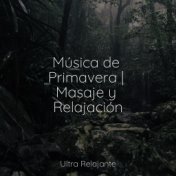 Música de Primavera | Masaje y Relajación