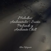 Melodías Ambientales | Sueño Profundo y Ambiente Chill