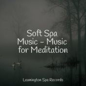 Soft Spa Music - Music for Meditation