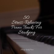 50 Stress-Relieving Piano Tracks For Studying