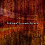 38 Peacefully Aware Sounds