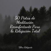 50 Pistas de Meditación Reconfortante Para la Relajación Total