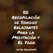50 Recopilación de Sonidos Relajantes Para la Meditación y El Yoga