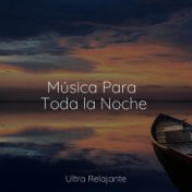 Música Para Toda la Noche