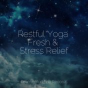 Restful Yoga Fresh & Stress Relief