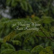 50 Vitalizing Winter Rain Recordings