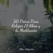 50 Pistas Para Relajar El Alma y la Meditación