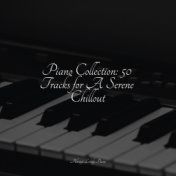 Piano Collection: 50 Tracks for A Serene Chillout