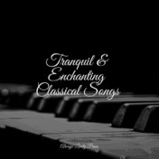 Tranquil & Enchanting Classical Songs