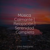 Música Calmante | Relajación | Serenidad Completa