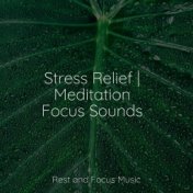 Stress Relief | Meditation Focus Sounds