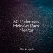 50 Poderosas Melodías Para Meditar