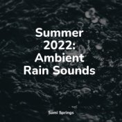 Summer 2022: Ambient Rain Sounds