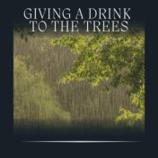 Giving a Drink to the Trees