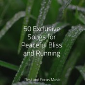 50 Exclusive Songs for Peaceful Bliss and Running