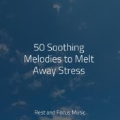 50 Soothing Melodies to Melt Away Stress
