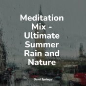 Meditation Mix - Ultimate Summer Rain and Nature