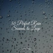 50 Perfect Rain Sounds to Loop