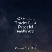 50 Sleepy Tracks for a Peaceful Ambience