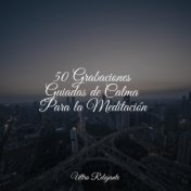 50 Grabaciones Guiadas de Calma Para la Meditación