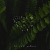 50 Peaceful Sounds for Peace and Calm